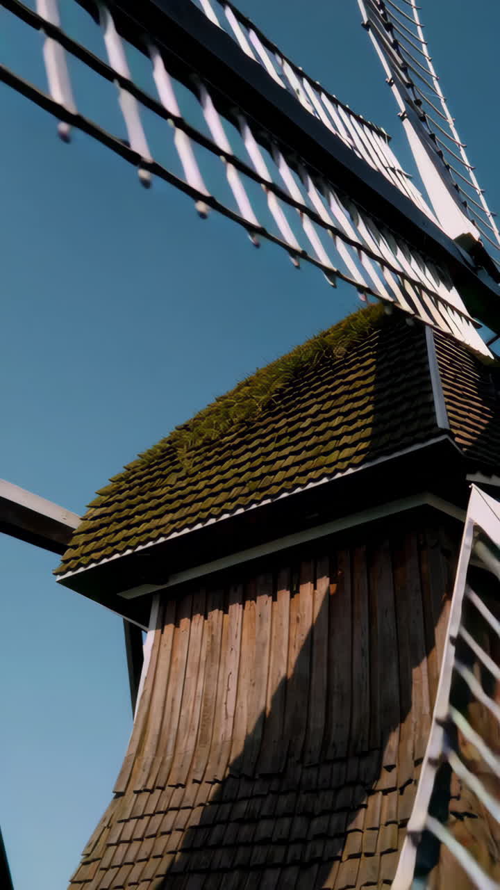 Dutch Windmill and Fields