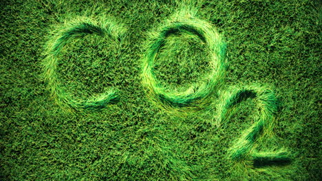 Huella-De-Animación-3d-De-La-Palabra-&quot;co2&quot;-En-Una-Vista-Superior-De-Un-Campo-De-Hierba-Verde,-Briznas-De-Hierba-Ondeando-Sutilmente-En-El-Viento-Y-El-Aire,-Las-Letras-De-Gráficos-En-Movimiento-Se-Acuñan-En-La-Hierba