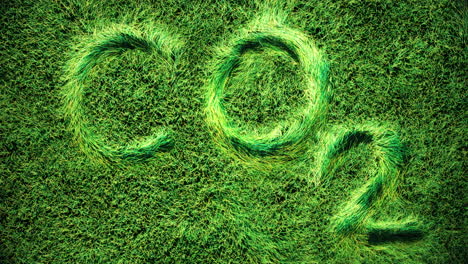huella de animación 3d de la palabra "co2" en una vista superior de un campo de hierba verde, briznas de hierba ondeando sutilmente en el viento y el aire, las letras de gráficos en movimiento se acuñan en la hierba