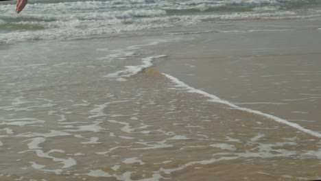 la orilla turquesa de una playa exótica cobra vida