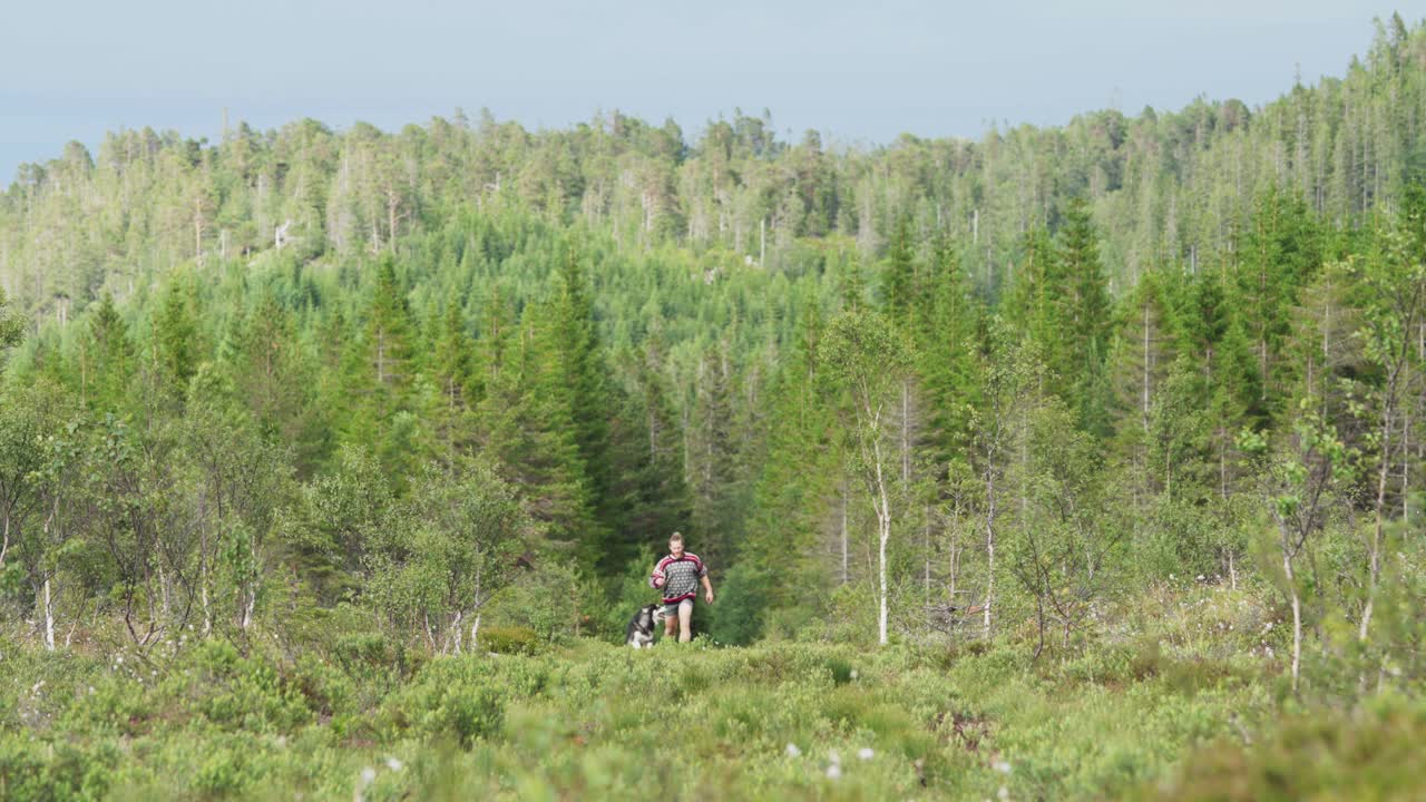유럽인 남자가 야생에서 애완동물 알래스카 말라무트 개와 함께 달리고 놀고 있습니다.