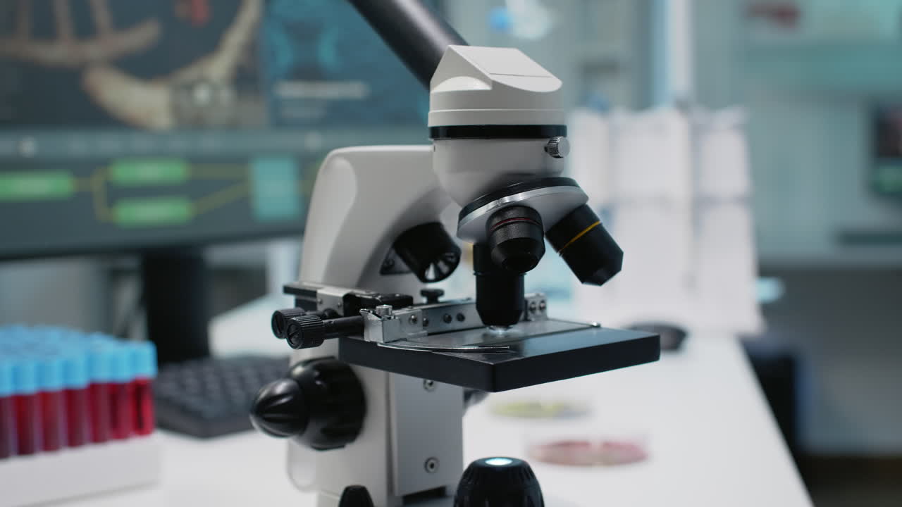 Internet popular social media influencer answering public questions and curiosities