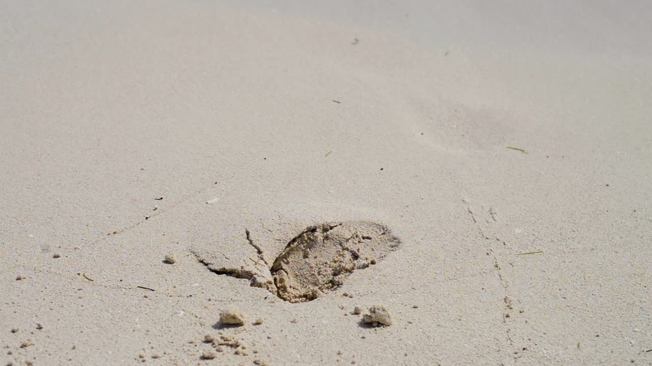 멕시코 칸쿤에서 파도에 의해 씻겨 나가는 모래 위의 발자국