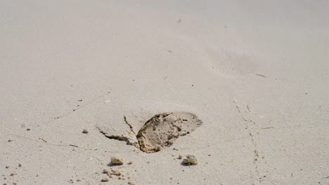 Schritt-Auf-Dem-Sand,-Der-Von-Einer-Welle-In-Cancun-Mexiko-Ausgewaschen-Wird