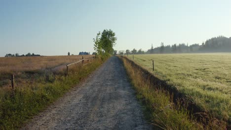 Dzianisz,-Podhale,-Polonia-Country-Road-En-Una-Mañana-Brumosa