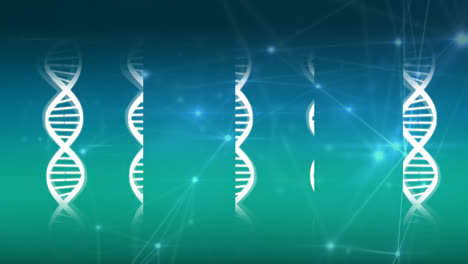 dna strand with a network of connected lines and dots