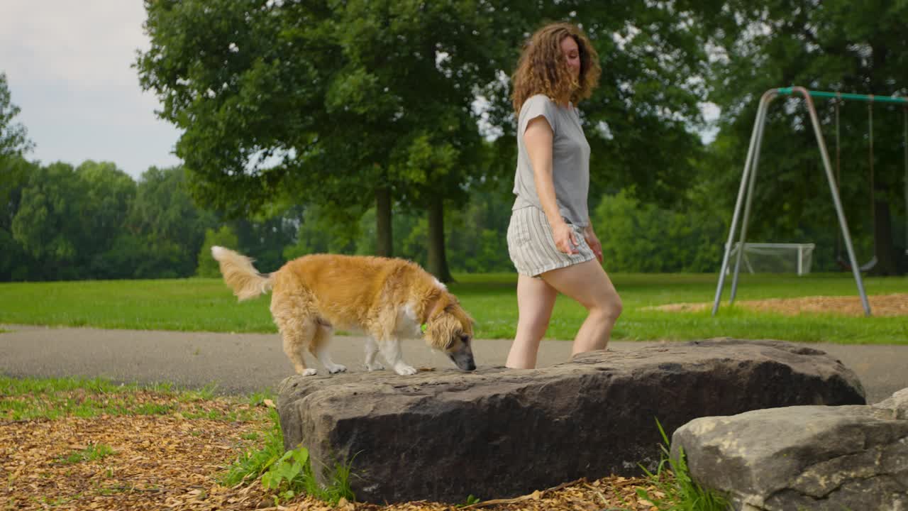 소녀 애완 동물 주인은 공원에서 활동적이고 건강한 개를 훈련