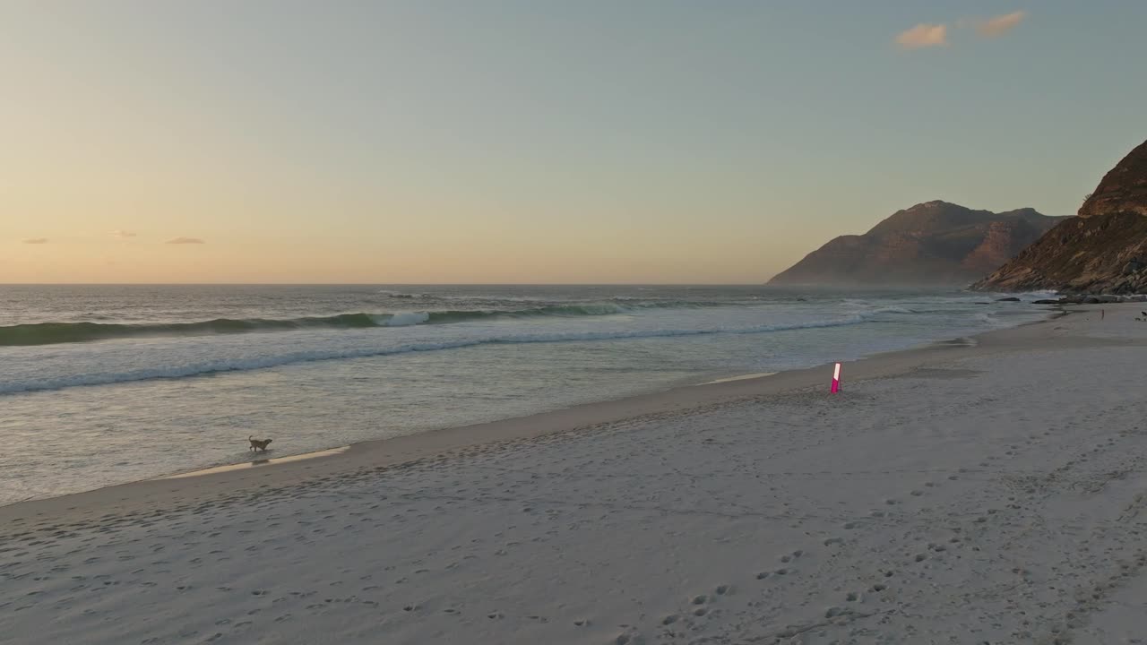 собака, гуляющая возле зеркала, помещенного на пляже во время захода солнца в нордхуке