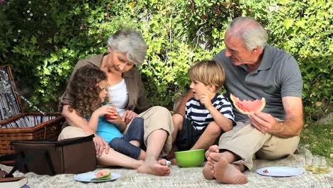 Abuelos-Y-Nietos-Haciendo-Un-Picnic