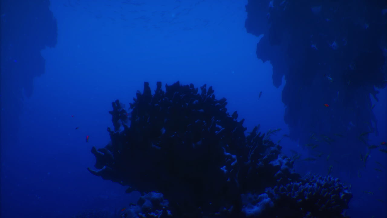 Underwater exploration revealing coral formations and marine life in deep blue