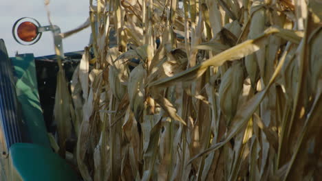 combine harvester, sunny day, slow motion