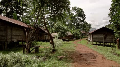 Indigenes-Hüttenviertel-Im-Dschungel-Von-Papua-–-Fixierte-Aufnahme