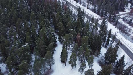 Vogelperspektive-Mit-Drohnenansicht-Des-Baltischen-Winterwaldes,-Schneebedeckte-Landschaft