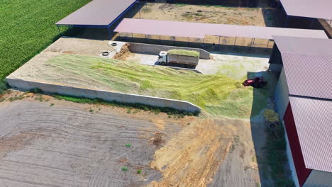 tractors-making-silage-in-turkey