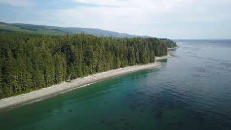 aerial daytime wide shot flying over turqoise ocean towards pristine sand beach coast and old growth pine forest trees in vancouver island british columbia canada