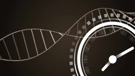 animación de reloj moviéndose sobre la cadena de adn