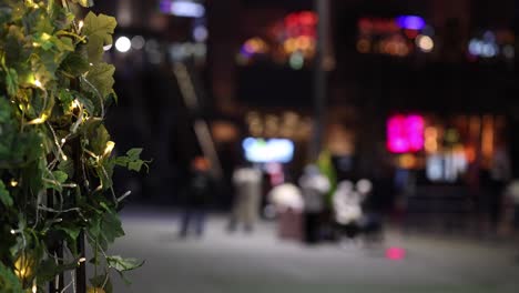 ivy leaves frame a blurred urban night scene