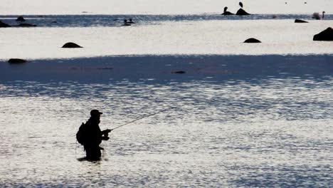 fly fisherman seatrout fishing on the coast of sweden fishing for trout