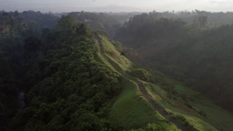 空中:ubud 巴利的campuhan山脊步行