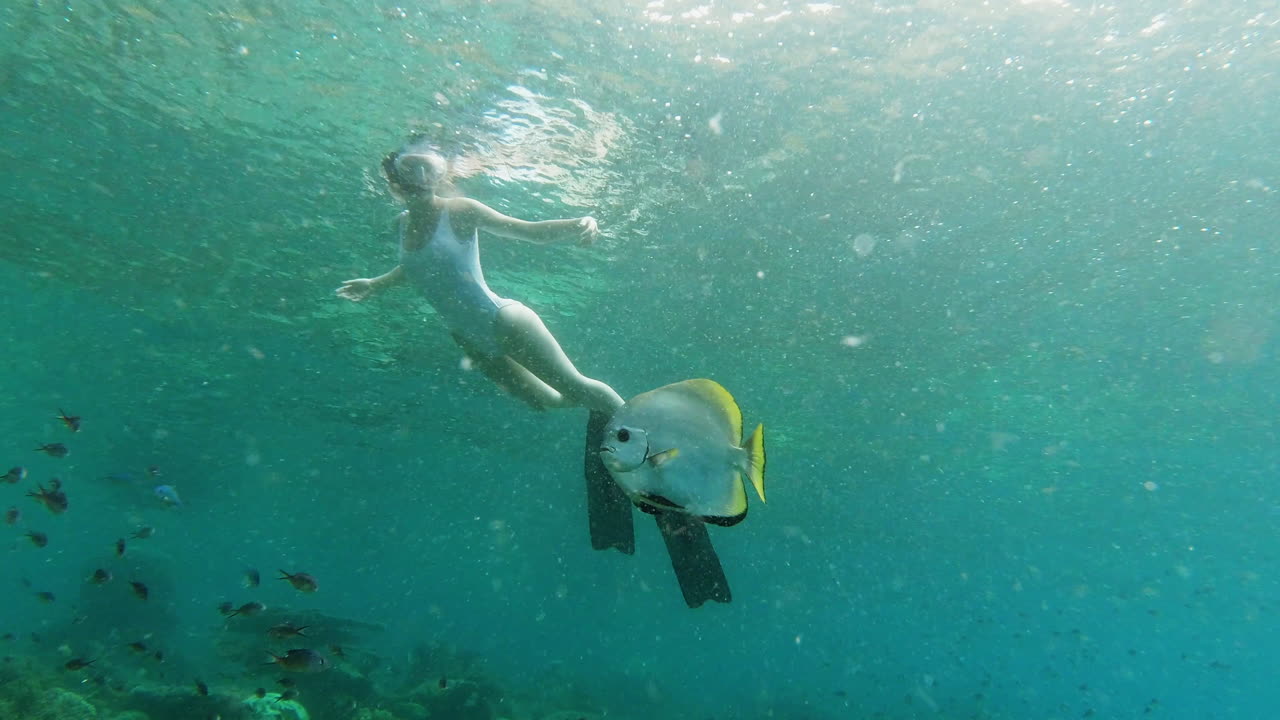 바다에 있는 것은 마치 집에 있는 것처럼 느 ⁇ 집니다.