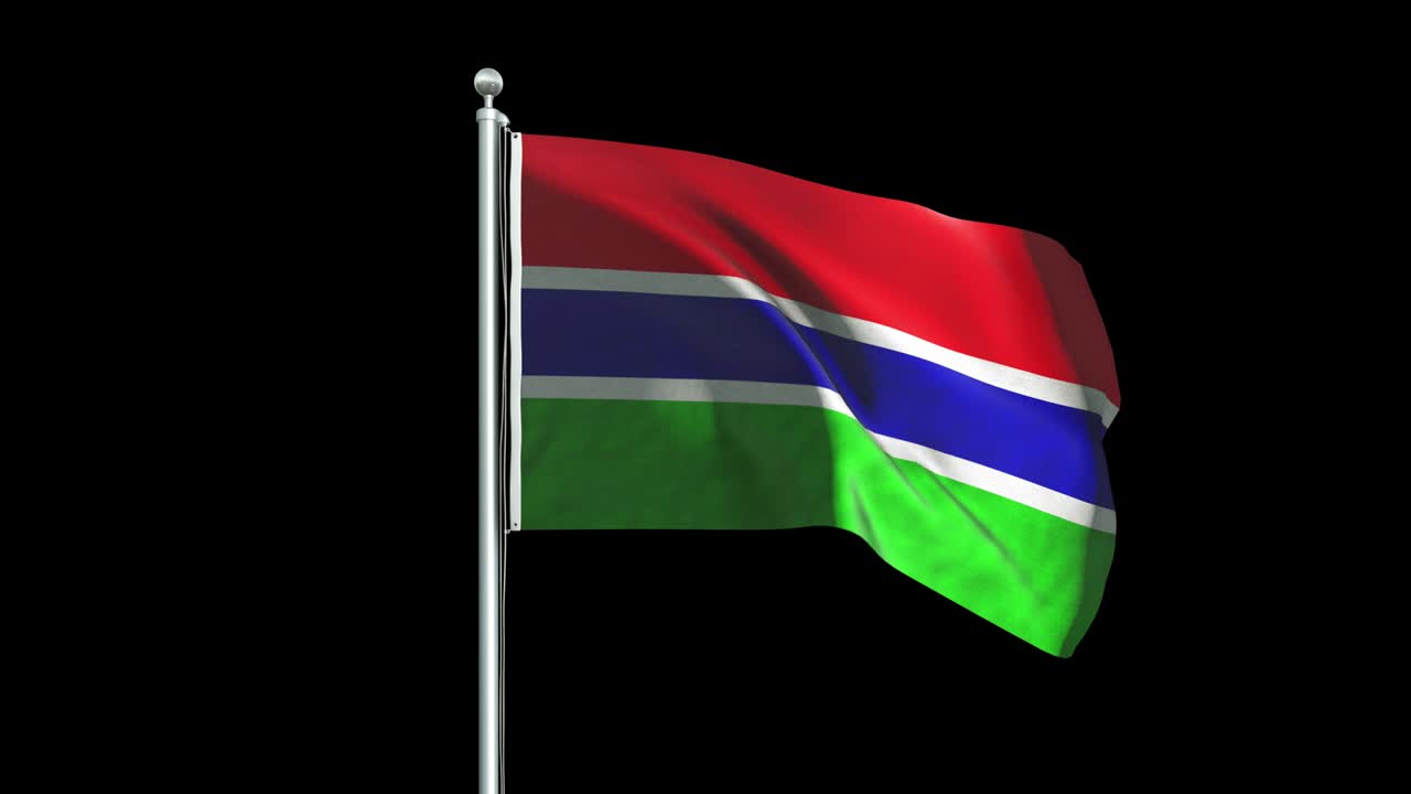 감비아 발 애니메이션 배경 4k