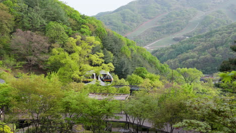 a day tour at hwadam botanic garden with tourists riding on a monorail train in gwangju, south korea