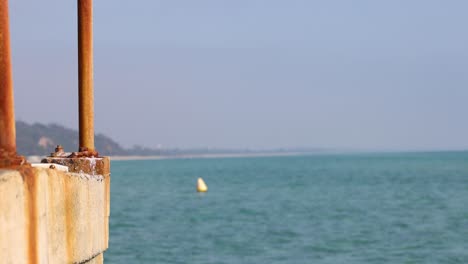 rusty pier with ocean and distant shoreline