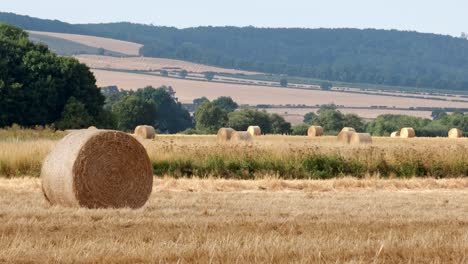 wide angle shot of round hay bails fresh