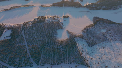 Long-sunrise-shadows-across-golden-sunlit-Polar-circle-Norbotten-woodland-ice-lake-aerial-view-tilt-up-to-glowing-skyline