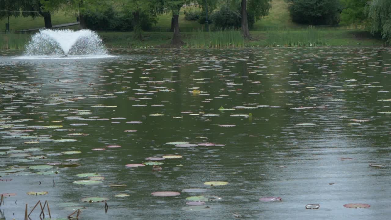 Peaceful Pond with Lily Pads and Fountain