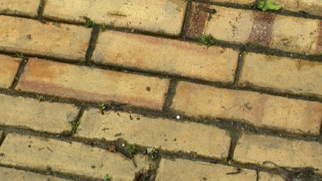 Slow-zoom-out-on-brick-paving