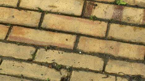 slow zoom-out on brick paving