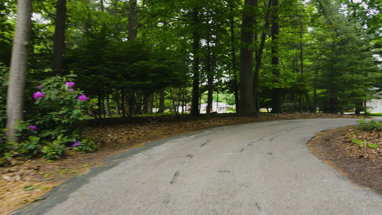 проталкиваясь через круговой проезд в сезон цветения