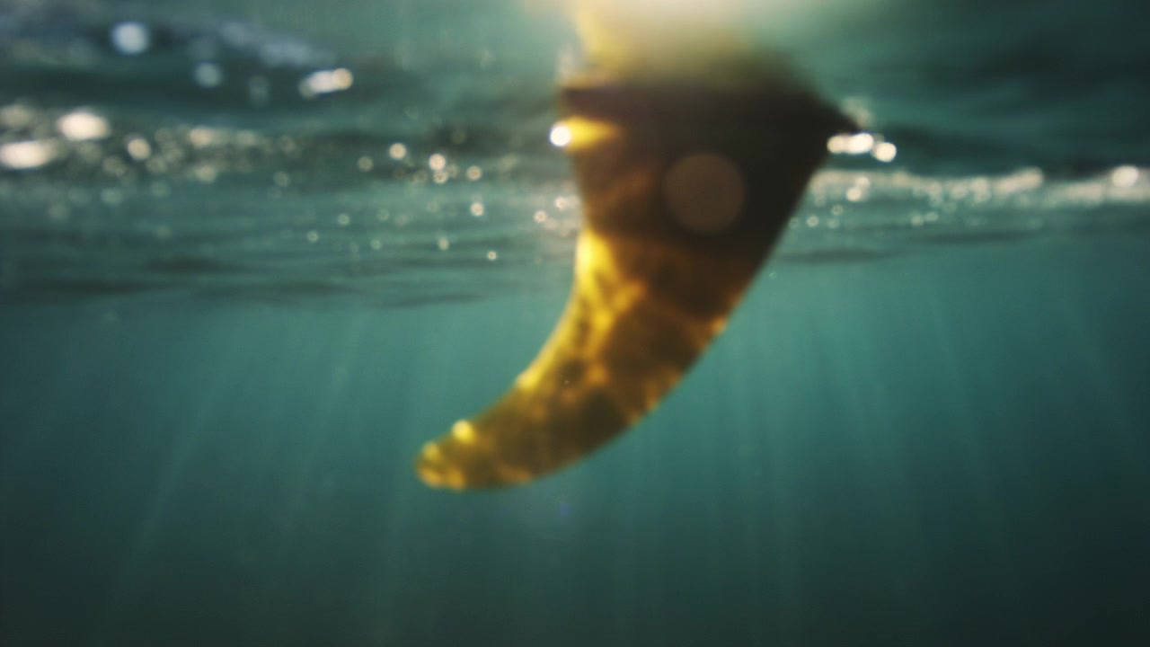 Surfbrætfinn glødende gylden under kruset havoverflade med sollys, der skinner i vandet