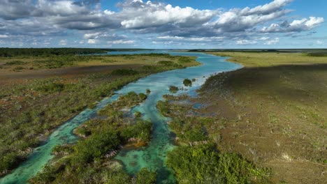 exotic vegetation and the rapidos de bacalar, in sunny mexico - aerial view