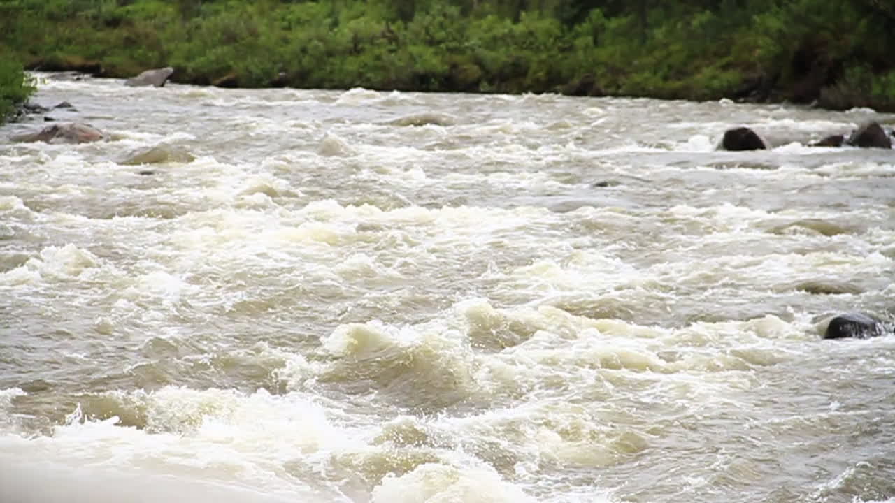 Roaring White Rapids Move Down River
