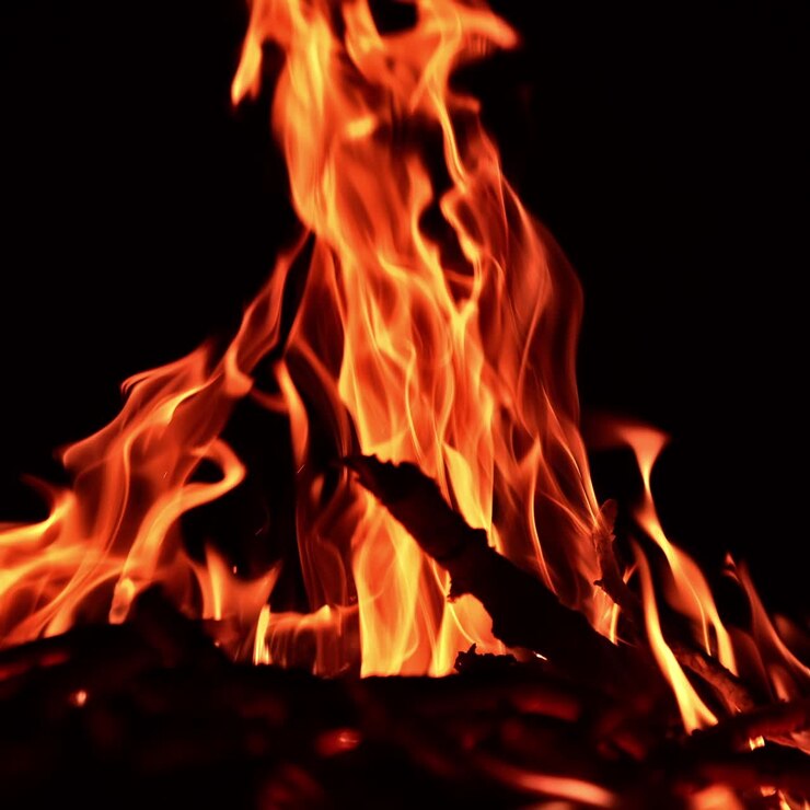 Dei rami sottili di albero bruciano nel fuoco da campo. Fiamme arancioni si muovono velocemente nell'oscurità.