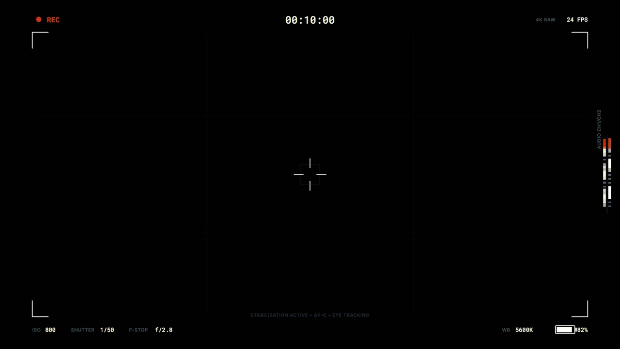 Digital Camera Viewfinder Interface Overlay