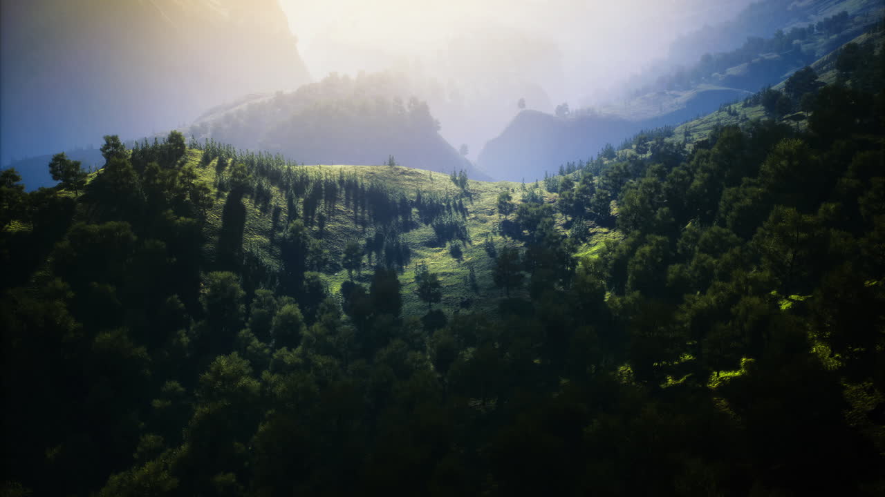 Scenic landscape view of rolling hills under soft morning light