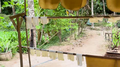 rubber sheets drying in a lush, tropical setting. natural lighting highlights the vibrant greenery and rustic environment