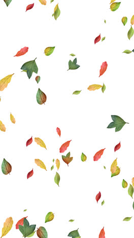 autumn leaves falling pattern