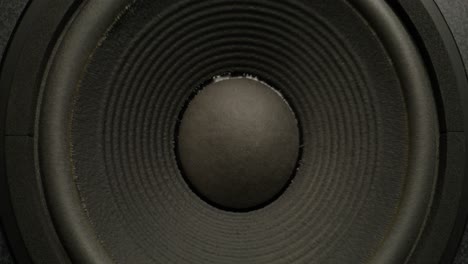 close-up of a speaker woofer