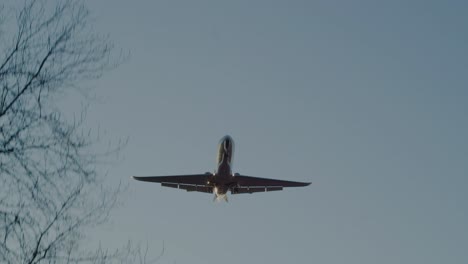 un avión hace un vuelo bajo al atardecer con árboles de invierno visibles en primer plano