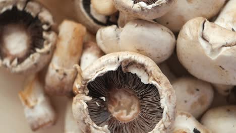 pile of white button mushrooms