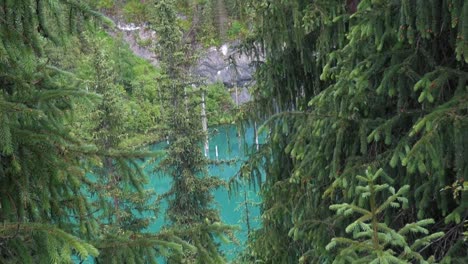 Kaindy-See-In-Kasachstan,-Auch-Als-Birkensee-Oder-Unterwasserwald-Bekannt