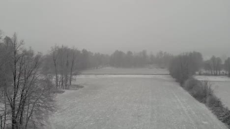 Ausgedehnte-Landschaft,-Während-Weißer-Schnee-Fällt-Und-Die-Farben-Von-Bäumen-Und-Einem-Feld-An-Einem-Bewölkten-Tag-In-Ljubljana-Slowenien-Bedeckt