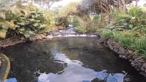esta es una filmación de gopro 7 de una de varias aguas termales naturales en tabacon en costa rica