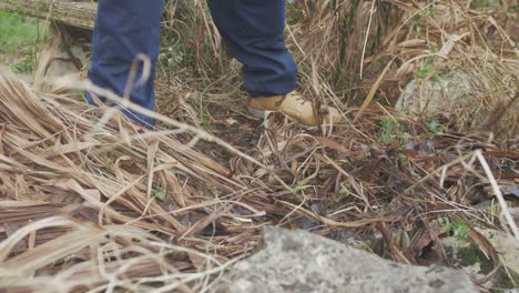 Gardener-pulling-out-old-plant-stalks-from-garden