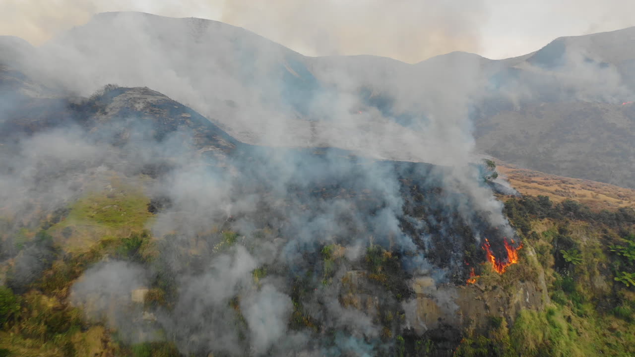Vista aerea che sorvola il fumo di un incendio boschivo rivelando il paesaggio costiero panoramico e contrastante della Nuova Zelanda.