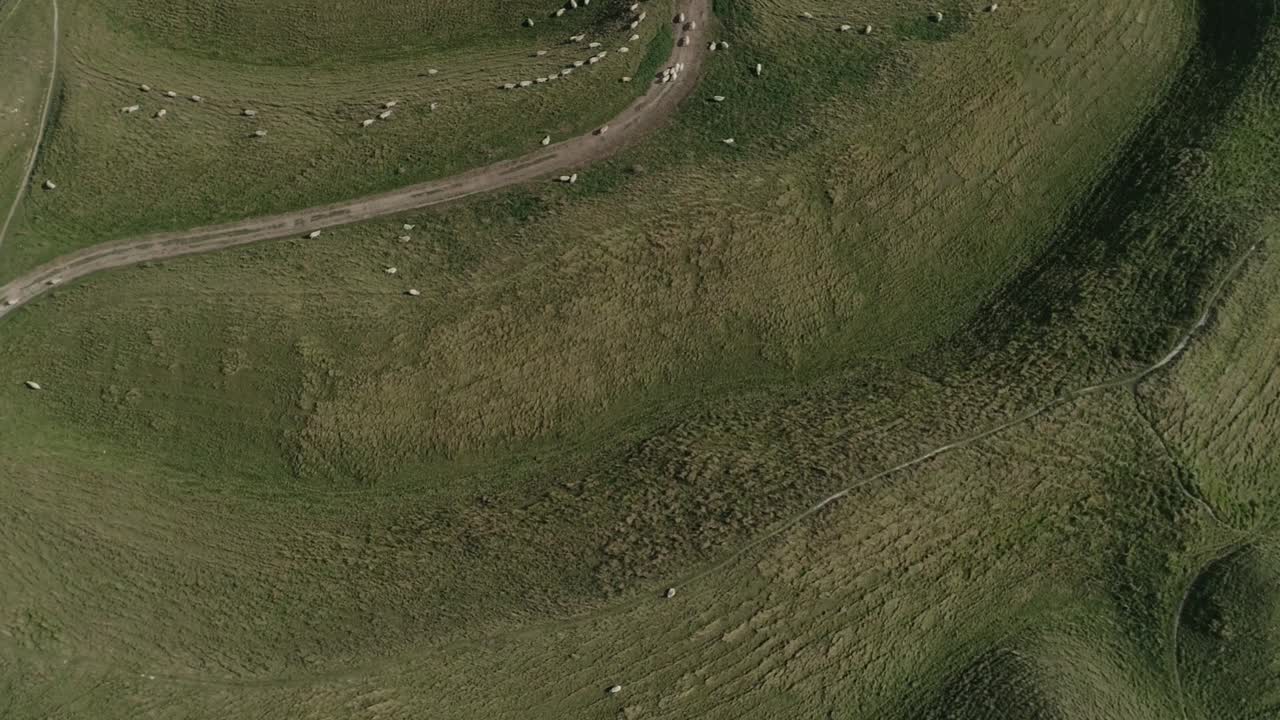 Aerial view of sheep grazing on green hills